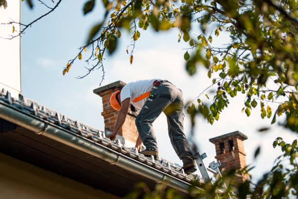 Best Roof Gutter Cleaning  in Arkoma, OK